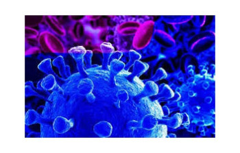 covid19_5e944b8d43d23.jpg covid19_5e944b8d43d23.jpg